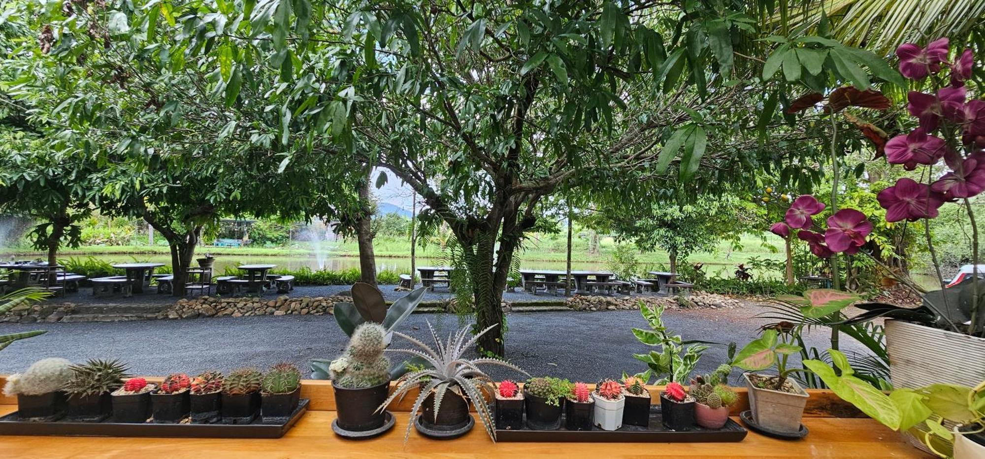 Homdoiintr Farmstay ฮ่อมดอยอินทร์ ฟาร์มสเตย์ Ban Huai Kaeo Exterior foto
