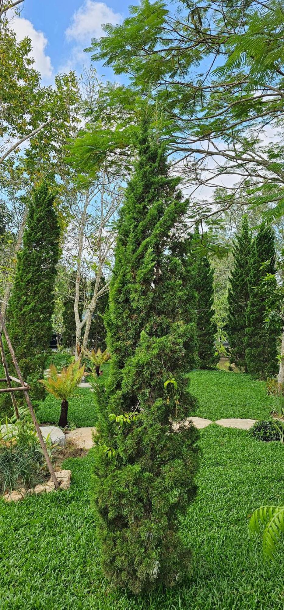 Homdoiintr Farmstay ฮ่อมดอยอินทร์ ฟาร์มสเตย์ Ban Huai Kaeo Exterior foto