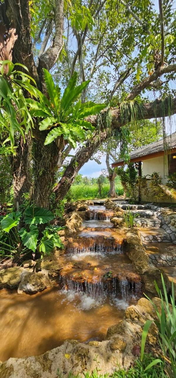 Homdoiintr Farmstay ฮ่อมดอยอินทร์ ฟาร์มสเตย์ Ban Huai Kaeo Exterior foto