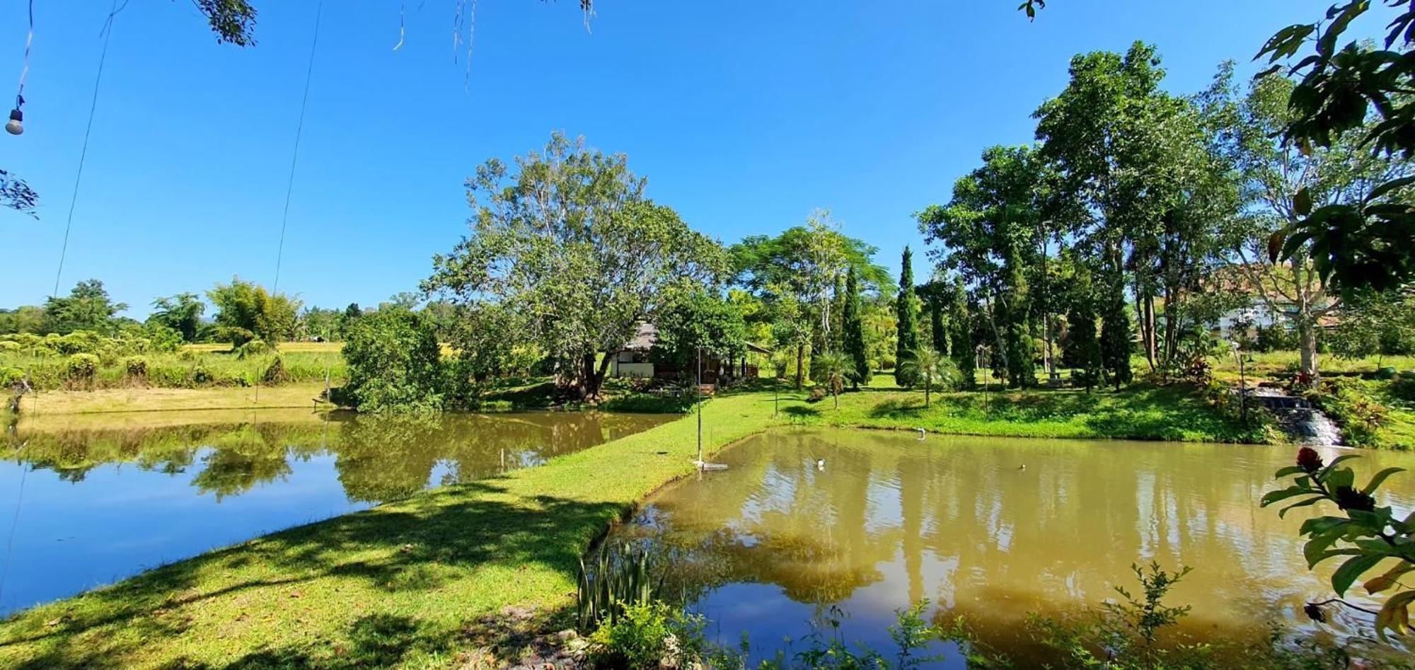 Homdoiintr Farmstay ฮ่อมดอยอินทร์ ฟาร์มสเตย์ Ban Huai Kaeo Exterior foto